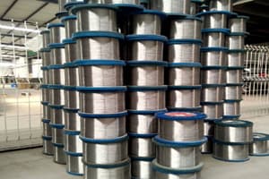 Stainless Steel Wire